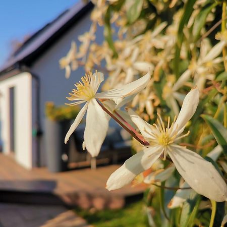 Hastings Casita, 'Little House' Self Contained Garden Lodge, Close To Town And Seafront Exterior foto