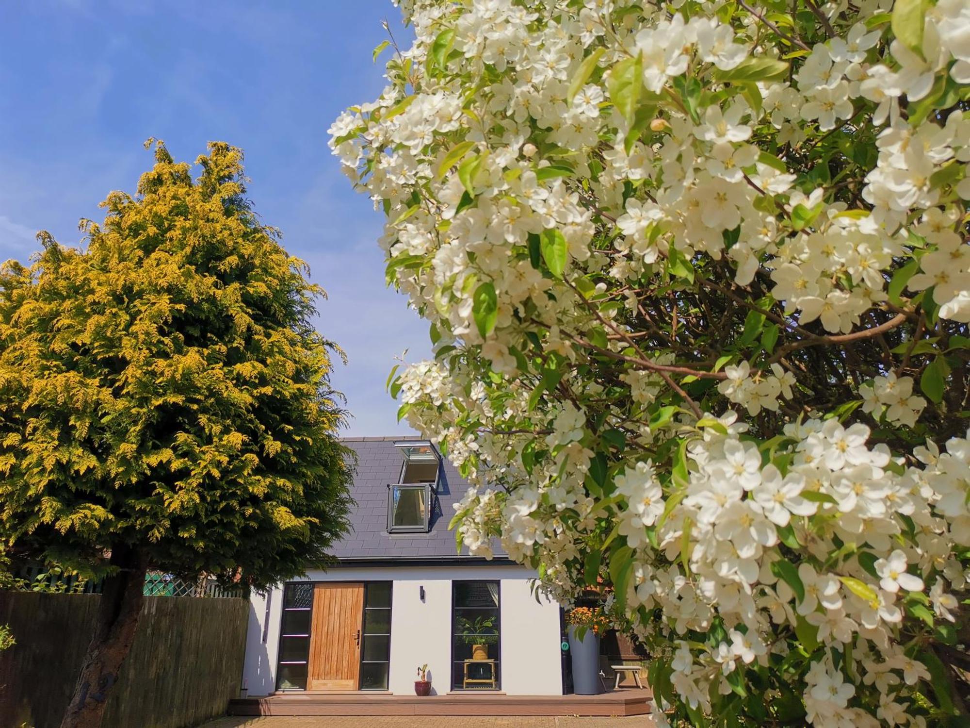 Hastings Casita, 'Little House' Self Contained Garden Lodge, Close To Town And Seafront Exterior foto